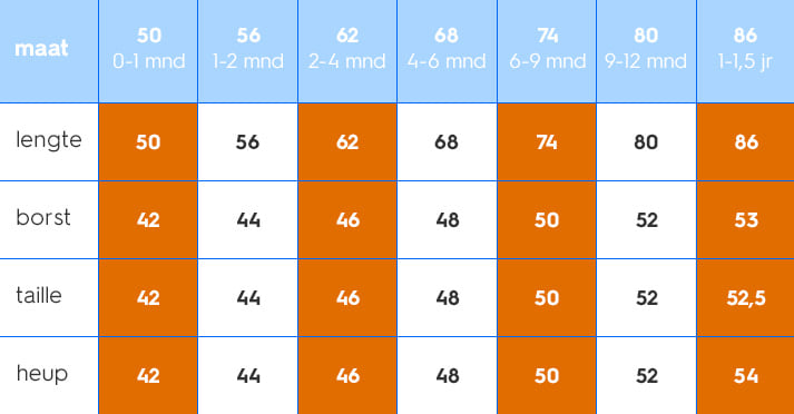 baby maat 48